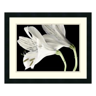 J and S Framing LLC Lily II Framed Wall Art   22W x 18H in. Multicolor  