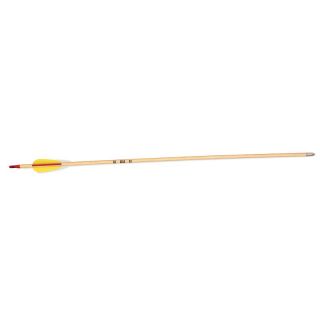 Bear Bow 24 in. Vaned Arrow   72 Pack Multicolor   A08124