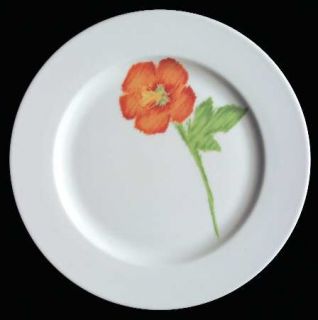 Villeroy & Boch Mademoiselle Dinner Plate, Fine China Dinnerware   Switch Bonjou