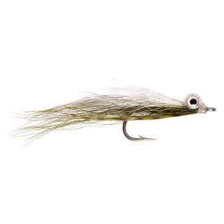 Rattle Eye Minnows, 2