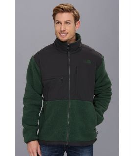 The North Face Novelty Denali Jacket Mens Jacket (Green)