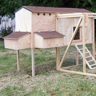Creative Coops Extended Family Hen House Kit Multicolor   KX301