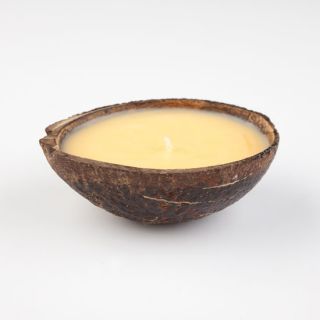 Surf Wax Mango Papaya Scented Candle Brown One Size For Men 244139400
