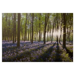 Graham & Brown Bluebell Landscape Printed Canvas Art   30 X 40 40 247