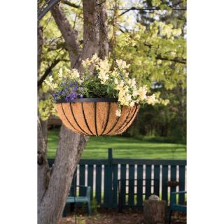 Panacea Cotswold Hanging Basket with Liner   18 in. Multicolor   PAN88536