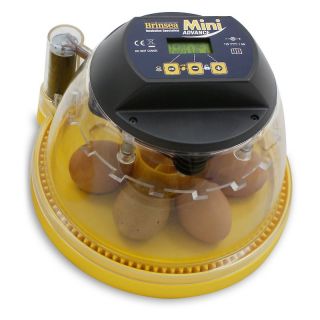 Mini Advance Automatic Egg Incubator Multicolor   USA016C