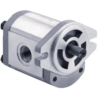 Dynamic Gear Pump   1.22 Cu. In., Model GP F20 20 P C