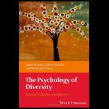 Psychology of Diversity Beyond Prejudice and Racism