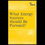 At Issue Series   What Energy Sources Should Be Pursued?
