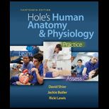Holes Human Anatomy and Physiology (Looseleaf)