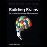 Building Brains An Introduction to Neural Development
