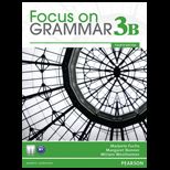 Focus on Gramar 3b   With Workbook