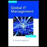 Global IT Management  A Practical Approach