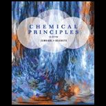 Chemical Principles   Student Solution Manual