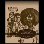 Journey A History Of The African American Experience (Custom)