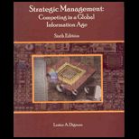 Strategic Management  Competing In A Global Information Age
