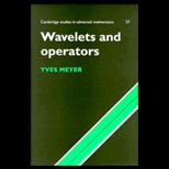 Wavelets and Operators