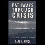 Pathways Through Crisis Urban Risk and Public Culture