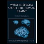What Is Special About the Human Brain?