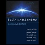 Sustainable Energy  Choosing Among Options