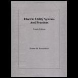 Electric Utility Systems and Practices