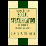 Social Stratification  The Interplay of Class, Race, and Gender