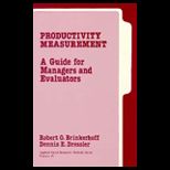 Productivity Measurement  A Guide for Managers and Evaluators