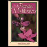 Guide to Florida Wildflowers