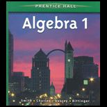 Algebra 1 / With Practice Workbook