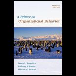 Primer on Organizational Behavior