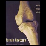 Human Anatomy (Custom)
