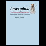 Drosophila Laboratory Handbook