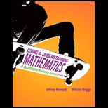 Using and Understanding Mathematics A Quantitative Reasoning Approach