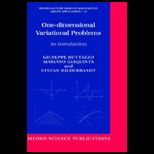 One Dimensional Variational Problems