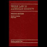 Work Law in American Society