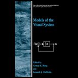 Modeling Techniques in the Visual System