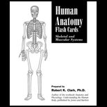 Human Anatomy  Skeletal and Muscular Systems   Flash Cards (New Only)