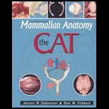 Mammalian Anatomy  Cat