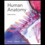 Human Anatomy   With Human Body Atlas and 2.0 CD