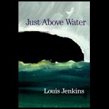 Just Above Water  Prose Poems