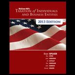 Taxation of Individual and Business Entities