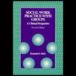 Social Work Practice With Groups  A Clinical Perspective