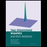 Two Dimensional Wavelets and Their Relative