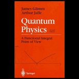 Quantum Physics  A Functional Integral Point of View