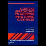 Clinical Approaches to Working With Young