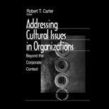 Addressing Cultural Issues in Organiz.