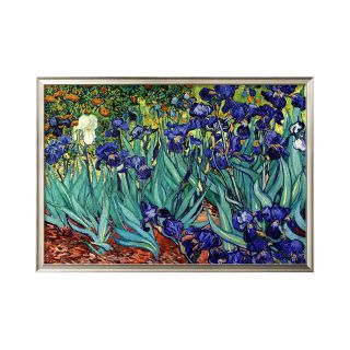 ART Irises, Saint Rémy, c.1889 Framed Print Wall Art