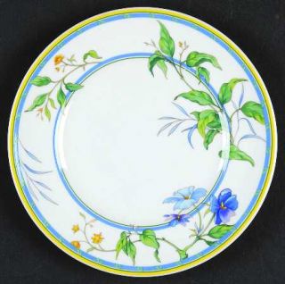 Royal Worcester Pastorale Bread & Butter Plate, Fine China Dinnerware   Blue&Yel