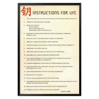 Art   Instructions for Life   Dalai Lama Framed Poster