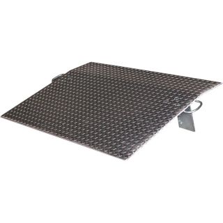 Vestil Economizer Dockplate   Aluminum, 3000 lb. Capacity, 30 Inch L x 36 Inch